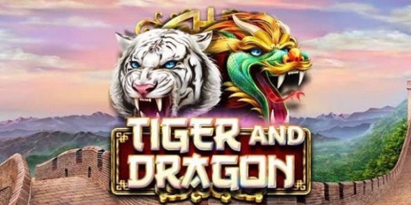 Rồng Hổ 6686 - Cách Soi Cầu Rồng Hổ Đúng Nhất, Ăn Tiền Đậm 1 rong ho 6686