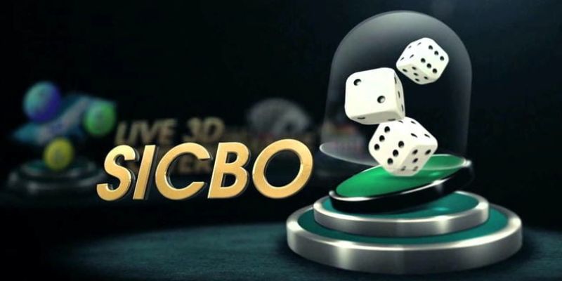 Sicbo 6686 - Chiến Thuật Tham Gia Sicbo Ai Cũng Nên Biết 1 Sicbo 6686 - Chiến Thuật Tham Gia Sicbo Ai Cũng Nên Biết
