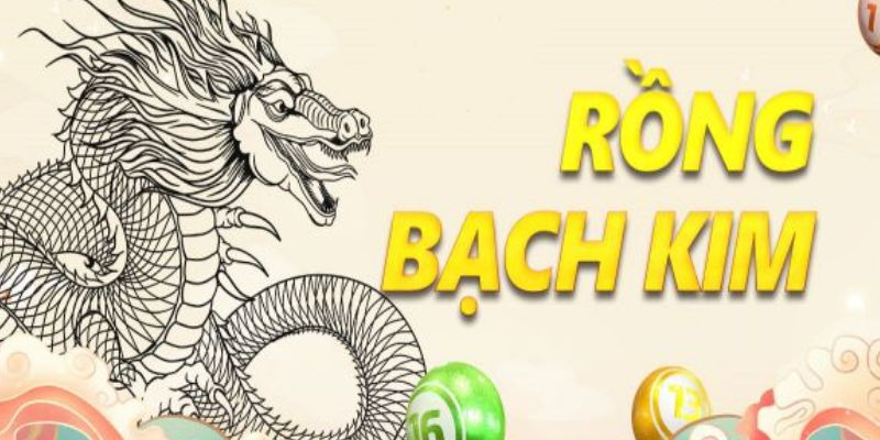 Hướng dẫn chi tiết cách soi tại 6686